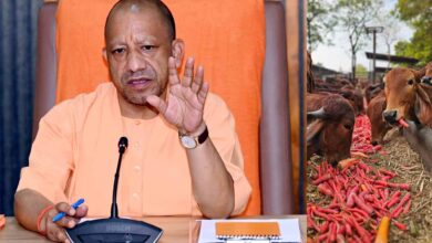 गो सेवा में देश-दुनिया के लिए रोल मॉडल बना यूपी
