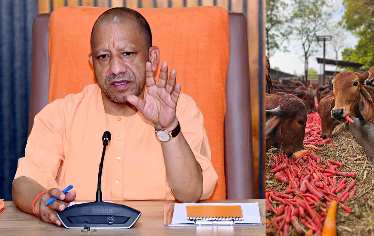 गो सेवा में देश-दुनिया के लिए रोल मॉडल बना यूपी गो सेवा में देश-दुनिया के लिए रोल मॉडल बना यूपी