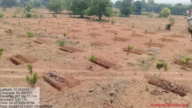 जल संरक्षण का महाअभियान: मनरेगा से गांवों में बढ़ रहा जल भंडार, हरियाली और आजीविका