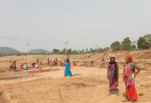 विकसित भारत-जी राम जी योजना से ग्रामीण विकास को मिलेगी नई दिशा