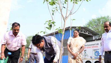 विश्व पर्यावरण दिवस पर मंत्री ओपी चौधरी ने किया मौल पौधे का रोपण