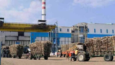 किसानों को घटिया उर्वरक व कीटनाशक देने वाली चीनी मिलों की जब्त हो सकती है बैंक गारंटी किसानों को घटिया उर्वरक व कीटनाशक देने वाली चीनी मिलों की जब्त हो सकती है बैंक गारंटी