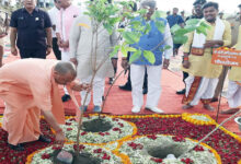 गोरखपुर से पौधरोपण महायज्ञ का शुभारंभ करेंगे मुख्यमंत्री योगी