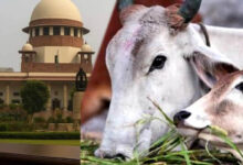 तमिलनाडु में गौहत्या मामले पर सुप्रीम कोर्ट का बड़ा फैसला, HC के आदेश पर रोक हटाई, राज्य सरकार को राहत