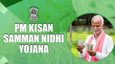 PM-Kisan की 24वीं किस्त का इंतजार खत्म, जानिए कब खाते में आएंगे ₹2,000 और किन किसानों को मिलेगा लाभ PM-Kisan की 24वीं किस्त का इंतजार खत्म, जानिए कब खाते में आएंगे ₹2,000 और किन किसानों को मिलेगा लाभ