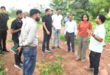शहरों को हरा-भरा और प्रदूषण मुक्त बनाएगी नमो हरित-नगर योजना,