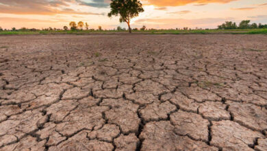 MP Weather: 33 जिलों में सामान्य से कम बारिश, किसानों की बढ़ी चिंता; फिलहाल भारी बारिश के संकेत नहीं MP Weather: 33 जिलों में सामान्य से कम बारिश, किसानों की बढ़ी चिंता; फिलहाल भारी बारिश के संकेत नहीं