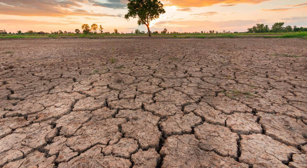 MP Weather: 33 जिलों में सामान्य से कम बारिश, किसानों की बढ़ी चिंता; फिलहाल भारी बारिश के संकेत नहीं