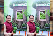 आज लगाया गया हर पौधा आने वाली पीढ़ियों के सुरक्षित भविष्य का आधार बनेगा : मुख्यमंत्री विष्णुदेव साय