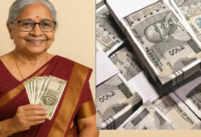 MP के 4 लाख पेंशनर्स को बड़ी राहत, केंद्र के DR बढ़ते ही मिलेगा महंगाई राहत का लाभ, छत्तीसगढ़ की मंजूरी नहीं होगी जरूरी