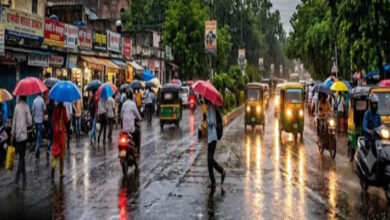 3 हफ्ते बाद फिर मेहरबान हुआ मानसून, भोपाल-ग्वालियर समेत 30+ जिलों में झमाझम बारिश 3 हफ्ते बाद फिर मेहरबान हुआ मानसून, भोपाल-ग्वालियर समेत 30+ जिलों में झमाझम बारिश