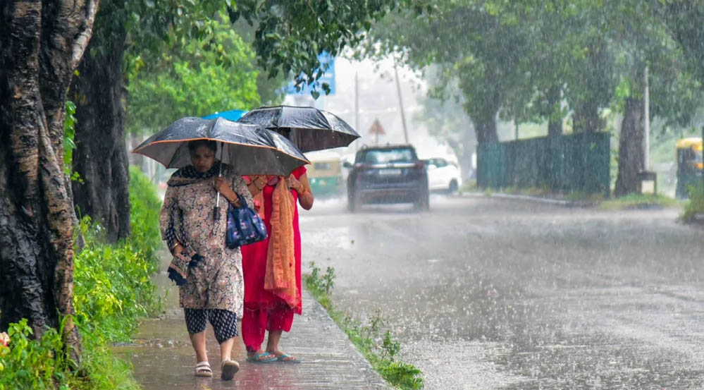 MP Weather Update: मध्य प्रदेश में फिर मेहरबान मानसून, 15 जिलों में भारी से अति भारी बारिश का अलर्ट, 4 दिन जमकर बरसेंगे बादल