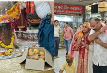 उज्जैन में बाबा महाकाल को चढ़ाया ₹2.5 लाख किलो वाला खास आम, जबलपुर के भक्त 12 साल से निभा रहे अनोखी परंपरा