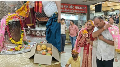 उज्जैन में बाबा महाकाल को चढ़ाया ₹2.5 लाख किलो वाला खास आम, जबलपुर के भक्त 12 साल से निभा रहे अनोखी परंपरा