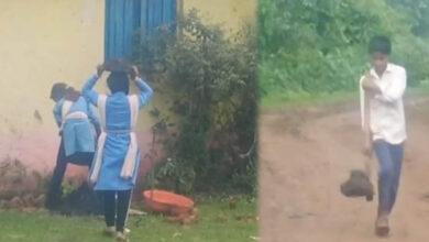 एक पेड़ माँ के नाम के लिए नाला पार कर रहे थे नौनिहाल एक पेड़ माँ के नाम के लिए नाला पार कर रहे थे नौनिहाल