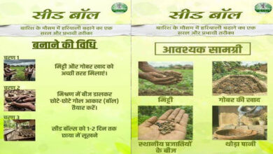 सीड बॉल अभियान- हरियाली बढ़ाने का सरल और प्रभावी माध्यम सीड बॉल अभियान- हरियाली बढ़ाने का सरल और प्रभावी माध्यम