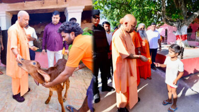 मुख्यमंत्री योगी आदित्यनाथ ने किए मां पाटेश्वरी के दर्शन मुख्यमंत्री योगी आदित्यनाथ ने किए मां पाटेश्वरी के दर्शन