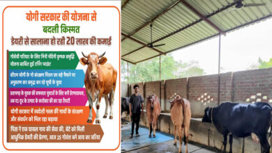 योगी सरकार की योजना से बदली किस्मत, डेयरी से सालाना हो रही 20 लाख की कमाई योगी सरकार की योजना से बदली किस्मत, डेयरी से सालाना हो रही 20 लाख की कमाई