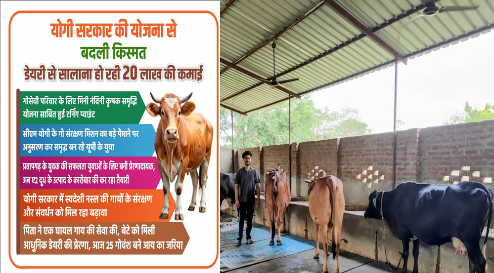 योगी सरकार की योजना से बदली किस्मत, डेयरी से सालाना हो रही 20 लाख की कमाई योगी सरकार की योजना से बदली किस्मत, डेयरी से सालाना हो रही 20 लाख की कमाई