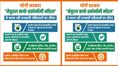 योगी सरकार ‘नेचुरल बायो-इकोनॉमी मॉडल’ से बदल रही वनवासी महिलाओं का जीवन योगी सरकार ‘नेचुरल बायो-इकोनॉमी मॉडल’ से बदल रही वनवासी महिलाओं का जीवन