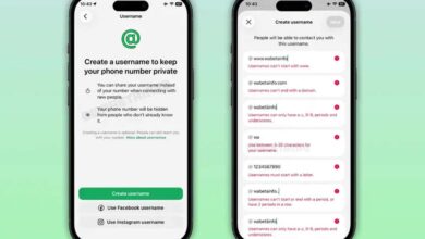 मोबाइल नंबर बिना WhatsApp इस्तेमाल होगा आसान, नए फीचर की करेगी सरकार समीक्षा।