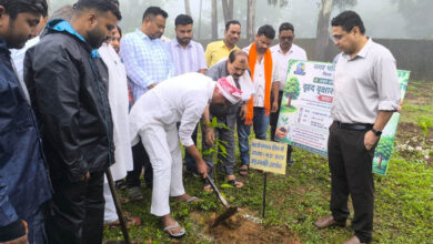 अमरकंटक में ‘अमृत हरित महा अभियान’ के तहत 3 हजार पौधों का वृहद पौधारोपण