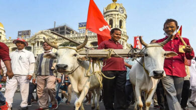 आठ दिन में समाधान नहीं हुआ तो कलेक्ट्रेट पर धरना देंगे किसान, कलेक्टर दिया चेतावनी भरा आवेदन आठ दिन में समाधान नहीं हुआ तो कलेक्ट्रेट पर धरना देंगे किसान, कलेक्टर दिया चेतावनी भरा आवेदन
