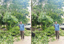 मुख्यमंत्री हेल्पलाइन से मिला त्वरित समाधान, बिजली तार से टकरा रही पेड़ की डालियां हटीं, बड़ा हादसा टला