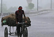 Weather Alert: गुजरात से जम्मू-कश्मीर और यूपी तक IMD का रेड अलर्ट, कई जिलों में भारी बारिश की चेतावनी
