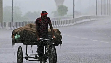 Weather Alert: गुजरात से जम्मू-कश्मीर और यूपी तक IMD का रेड अलर्ट, कई जिलों में भारी बारिश की चेतावनी Weather Alert: गुजरात से जम्मू-कश्मीर और यूपी तक IMD का रेड अलर्ट, कई जिलों में भारी बारिश की चेतावनी