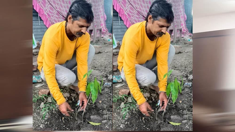 इंदौर संभागीय अध्यक्ष ओम प्रकाश ठाकुर ने आम के वृक्ष देवास में लगाए इंदौर संभागीय अध्यक्ष ओम प्रकाश ठाकुर ने आम के वृक्ष देवास में लगाए