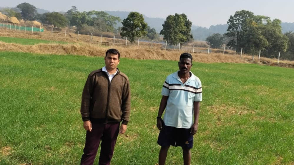 कम लागत, दोगुना फायदा: जशपुर के किसान ने गेहूं की खेती से बढ़ाई आमदनी कम लागत, दोगुना फायदा: जशपुर के किसान ने गेहूं की खेती से बढ़ाई आमदनी
