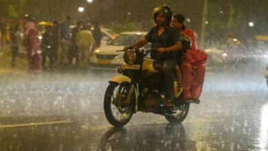 MP Weather: 13 जिलों में भारी बारिश का अलर्ट, आज उज्जैन और ग्वालियर-चंबल पहुंचेगा मानसून MP Weather: 13 जिलों में भारी बारिश का अलर्ट, आज उज्जैन और ग्वालियर-चंबल पहुंचेगा मानसून