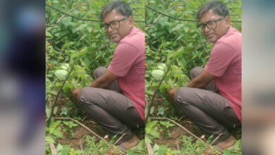 जबलपुर पूर्व प्रदेश अध्यक्ष सुनील कुमार राय ने पीपल के वृक्ष मझौली में लगाए जबलपुर पूर्व प्रदेश अध्यक्ष सुनील कुमार राय ने पीपल के वृक्ष मझौली में लगाए