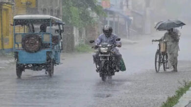 MP Weather Alert: अगले 48 घंटे झमाझम बारिश के आसार, मालवा-निमाड़ के 12 जिलों में भारी बारिश की चेतावनी