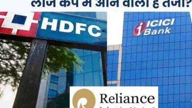 लार्ज-कैप शेयरों में लौट सकती है तेजी, जेफरीज ने बताए निवेश के संकेत