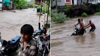 MP Rain Alert: भारी बारिश से नर्मदापुरम-खंडवा स्टेट हाईवे बंद, हरदा में नदियां उफान पर; रेड-ऑरेंज अलर्ट जारी MP Rain Alert: भारी बारिश से नर्मदापुरम-खंडवा स्टेट हाईवे बंद, हरदा में नदियां उफान पर; रेड-ऑरेंज अलर्ट जारी