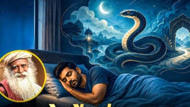 सपने में सांप दिखना शुभ या अशुभ? स्वप्न शास्त्र में छिपे हैं कई संकेत सपने में सांप दिखना शुभ या अशुभ? स्वप्न शास्त्र में छिपे हैं कई संकेत
