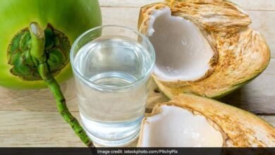 नारियल पानी महंगा पड़ रहा? गर्मी में हाइड्रेशन के लिए ये 5 सस्ते देसी ड्रिंक्स हैं बेहतरीन विकल्प नारियल पानी महंगा पड़ रहा? गर्मी में हाइड्रेशन के लिए ये 5 सस्ते देसी ड्रिंक्स हैं बेहतरीन विकल्प
