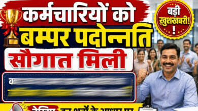 10 साल बाद MSME विभाग में 217 कर्मचारियों को प्रमोशन, 116 नए पदों पर भर्ती का भी रास्ता साफ 10 साल बाद MSME विभाग में 217 कर्मचारियों को प्रमोशन, 116 नए पदों पर भर्ती का भी रास्ता साफ