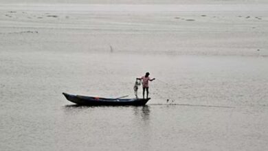 उत्तराखंड की बारिश से यूपी में बढ़ा गंगा का जलस्तर, कड़ा धाम के घाट जलमग्न उत्तराखंड की बारिश से यूपी में बढ़ा गंगा का जलस्तर, कड़ा धाम के घाट जलमग्न