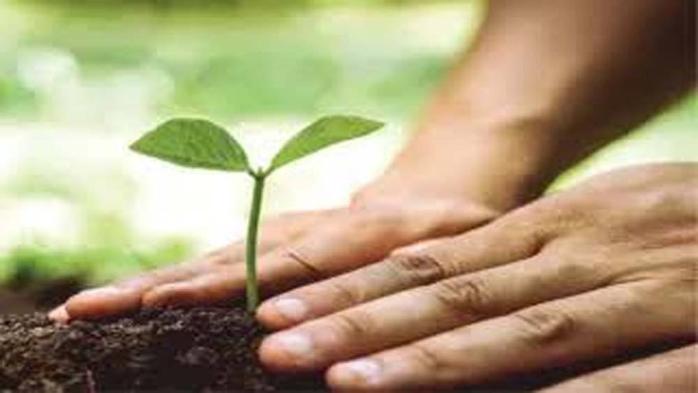 15 अगस्त पर यूपी का हरित संकल्प, हर जिले में बनेगी ‘वंदे मातरम् वाटिका’ 15 अगस्त पर यूपी का हरित संकल्प, हर जिले में बनेगी ‘वंदे मातरम् वाटिका’