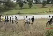 बड़वानी में युवती को 25-30 युवक बाइक पर उठाकर ले गए! वायरल VIDEO से हड़कंप, जांच में ‘देजा’ प्रथा का एंगल