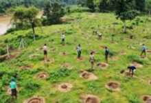 योगी सरकार 13 प्रमुख नदियों के तट क्षेत्र पर रोपेगी 3.83 करोड़ से अधिक पौधे