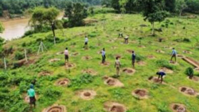 योगी सरकार 13 प्रमुख नदियों के तट क्षेत्र पर रोपेगी 3.83 करोड़ से अधिक पौधे योगी सरकार 13 प्रमुख नदियों के तट क्षेत्र पर रोपेगी 3.83 करोड़ से अधिक पौधे
