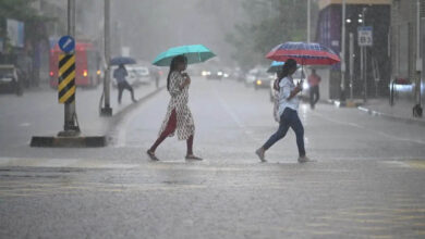 MP Weather Alert: ग्वालियर-चंबल में आज भारी बारिश, भिंड में रेड अलर्ट; उज्जैन-सागर भी होंगे तरबतर MP Weather Alert: ग्वालियर-चंबल में आज भारी बारिश, भिंड में रेड अलर्ट; उज्जैन-सागर भी होंगे तरबतर