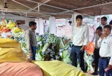 CG में कृषि विभाग की बड़ी कार्रवाई, अवैध भंडारण और पैकेजिंग यूनिट पर छापा, गोदाम सील