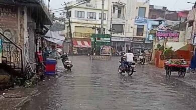 CG Weather Alert: छत्तीसगढ़ में 5 दिन तक मेहरबान रहेगा मानसून, कई जिलों में झमाझम बारिश के आसार CG Weather Alert: छत्तीसगढ़ में 5 दिन तक मेहरबान रहेगा मानसून, कई जिलों में झमाझम बारिश के आसार