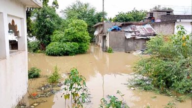 CG Flood: महानदी की बाढ़ से गांव जलमग्न, SDRF ने 6 लोगों को सुरक्षित निकाला