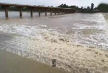 CG की 19 नदियों के उद्गम स्थल होंगे संरक्षित, संरक्षण के लिए बनेगी विशेष कमेटी